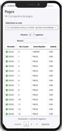 INMOCLIENTES - pagos